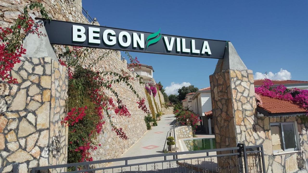 וילה Begon אלאניה