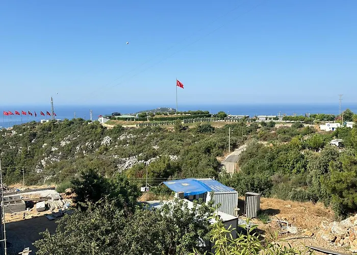 Begon Villa